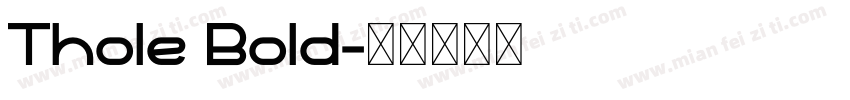 Thole Bold字体转换
